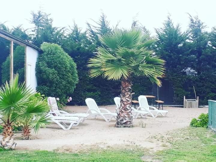 Hotel Del Valle Quilimari Pichidangui Dış mekan fotoğraf