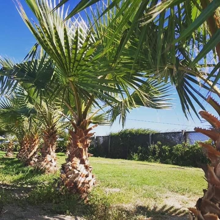 Hotel Del Valle Quilimari Pichidangui Dış mekan fotoğraf